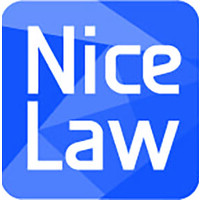 The Nice Law Firm